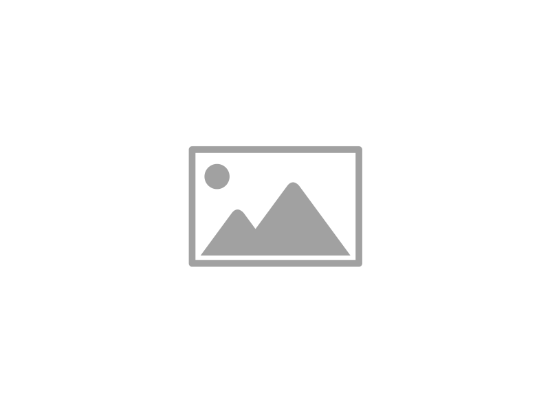 Testi-2